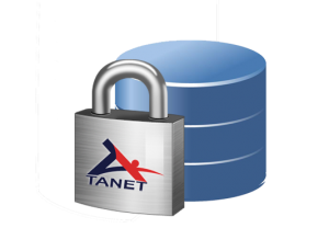 Local server backup