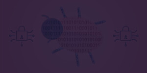 Free Vulnerability Scan