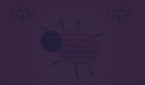 Free Vulnerability Scan